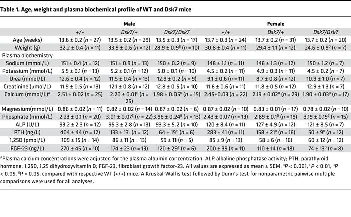 Age, weight and plasma biochemical profile of WT and Dsk7 mice