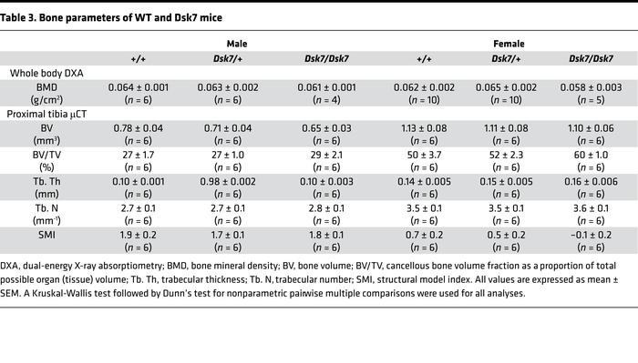Bone parameters of WT and Dsk7 mice