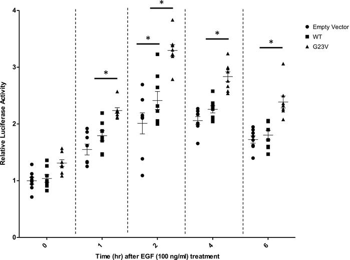 Serum response element reporter assay.
Full-length, hemaglutinin-tagged ...