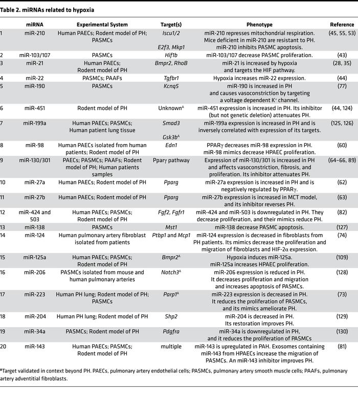 miRNAs related to hypoxia