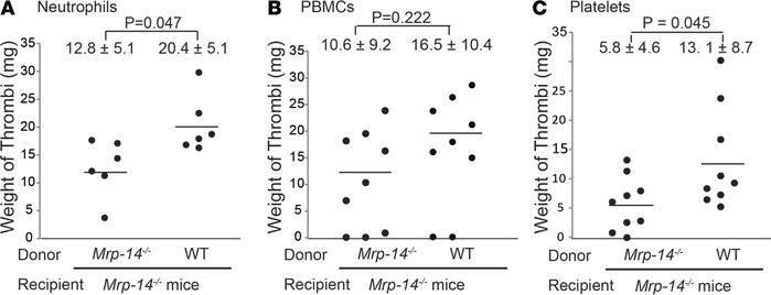 Adoptive transfer of WT neutrophils or platelets rescues the defect of t...