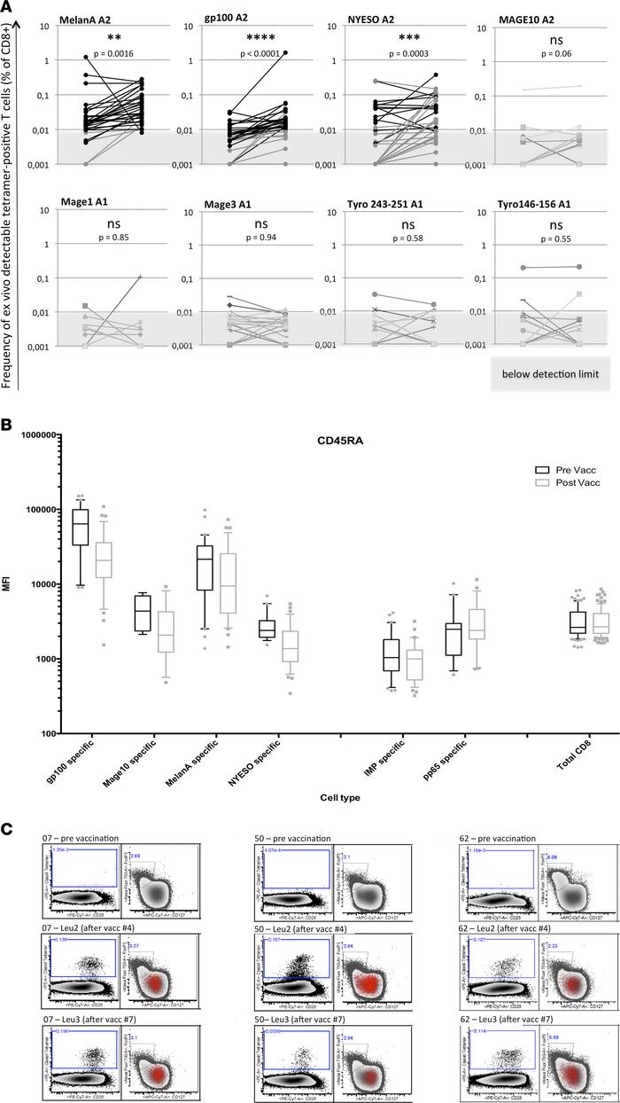 Ex vivo cell analysis.
(A) Ex vivo multiplexed tetramer stainings were p...