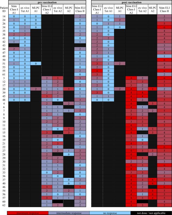 Overview and breadth of DC-vaccination–induced immune responses.
Shown a...