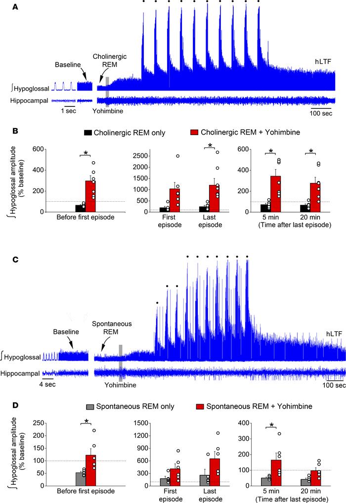 Systemic yohimbine reversed the depressions of baseline hypoglossal acti...