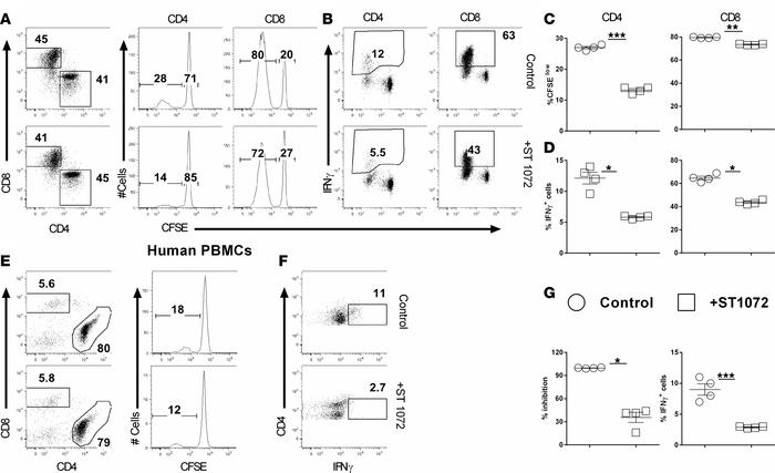 Effects of ceramide synthase 6 inhibition on T cell allogeneic responses...