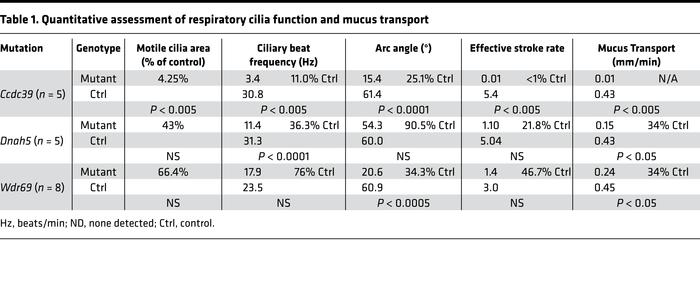 Quantitative assessment of respiratory cilia function and mucus transport