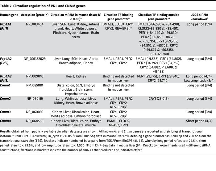 Circadian regulation of PRL and CNNM genes