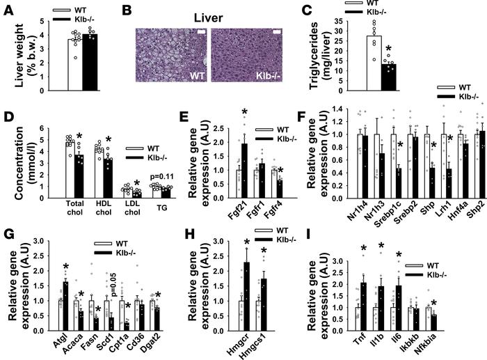 Protection against fatty liver in Klb–/– mice on high-fat diet (HFD).
(A...