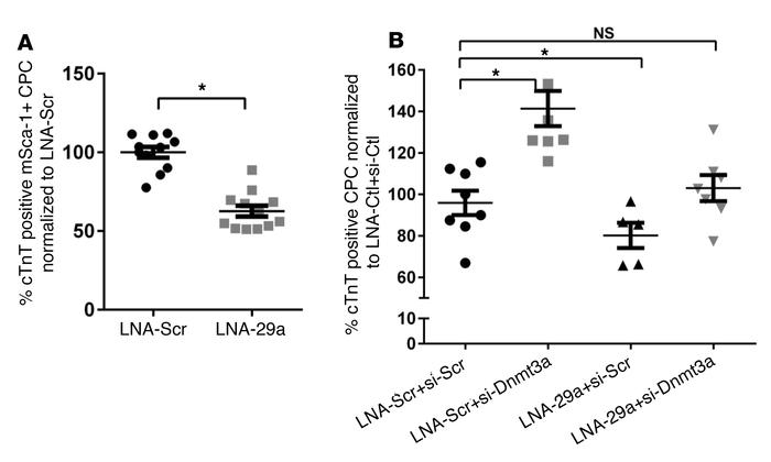 miR-29a promotes cardiac progenitor cell differentiation to cardiomyocyt...