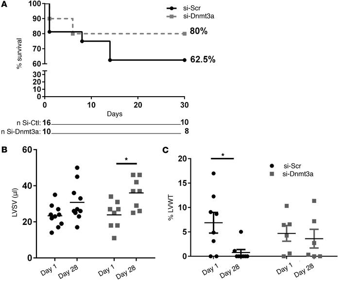 Improved functional recovery of infarcted hearts after injection of card...