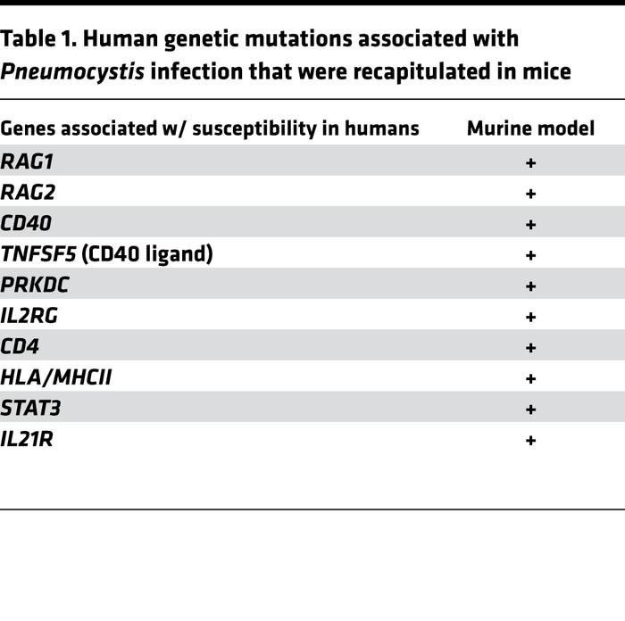 Human genetic mutations associated with Pneumocystis infection that were...
