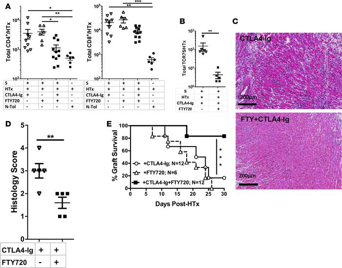 Efficacy of CTLA4-Ig plus FTY720 combination therapy in preventing T cel...