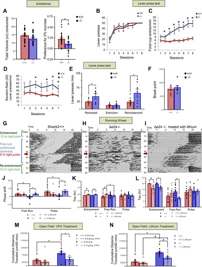 Anhedonia, lever pressing, circadian rhythms, and responses to lithium a...