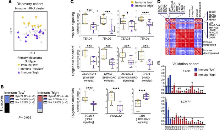 Defining “immune” transcriptomic subclasses.
(A) Principal component ana...