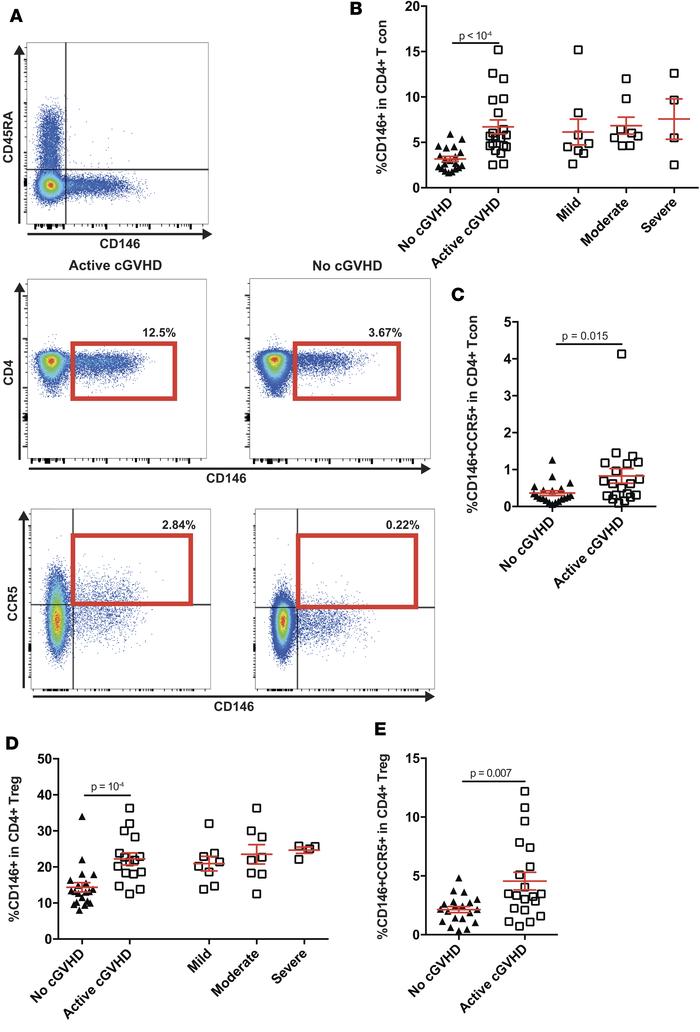 CD146 and CCR5 expression within CD4+ Tcon (non CD25hiCD127low within CD...