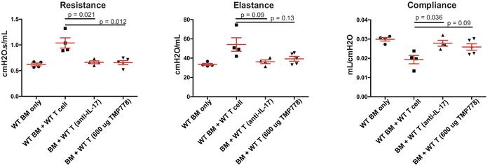 IL-17 blocking antibody and RORγt inhibitor (TMP778) alleviates cGvHD.
B...