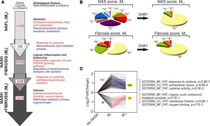 Gene expression patterns in NAFLD and fibrosis progression and regressio...