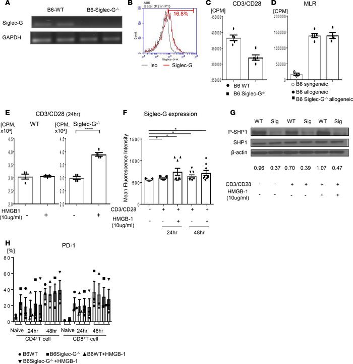 T cells express Siglec-G and it represses their responses in the presenc...