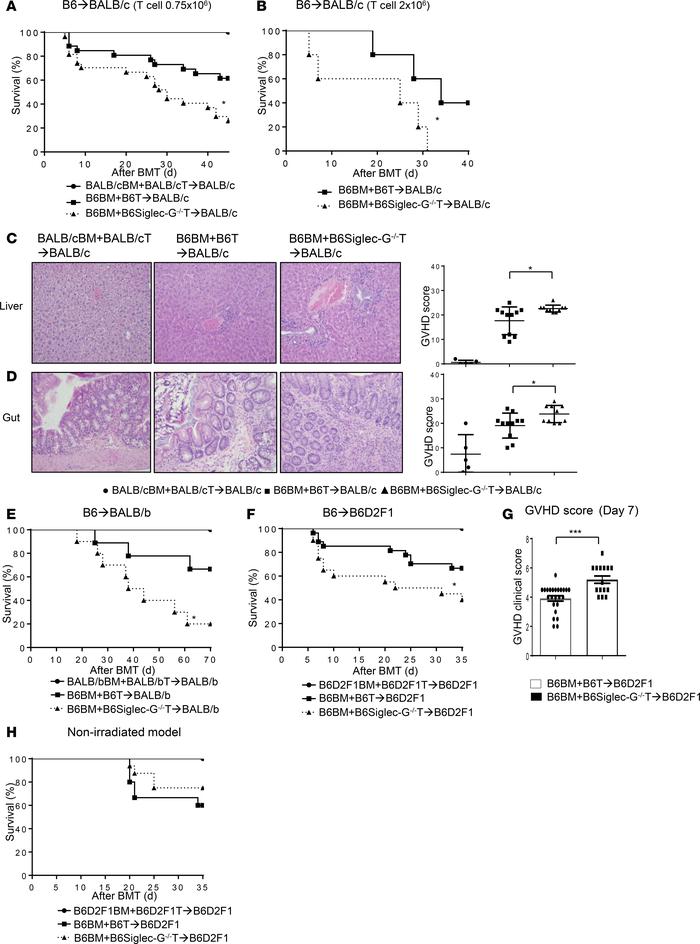 Absence of Siglec-G on donor T cells exacerbates GVHD.
(A–E) BALB/c anim...