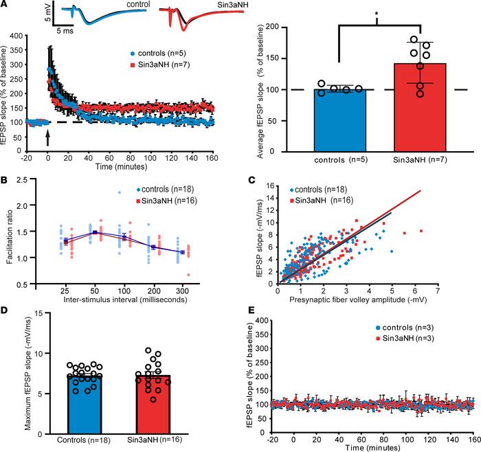Neuronal deletion of SIN3A enhances hippocampal LTP but does not change ...