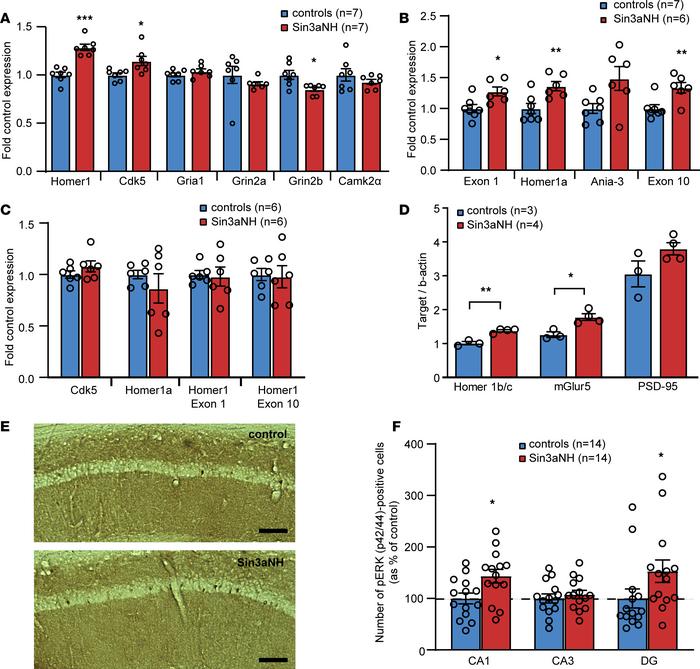 Reduction in SIN3A increases Homer1 expression and affects signaling cas...
