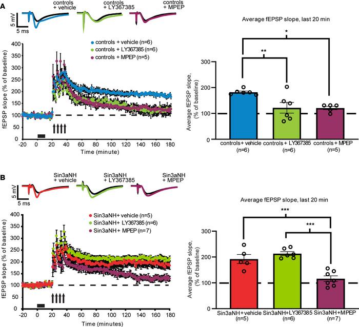 The role of mGluR signaling in hippocampal LTP is altered in Sin3aNH mic...