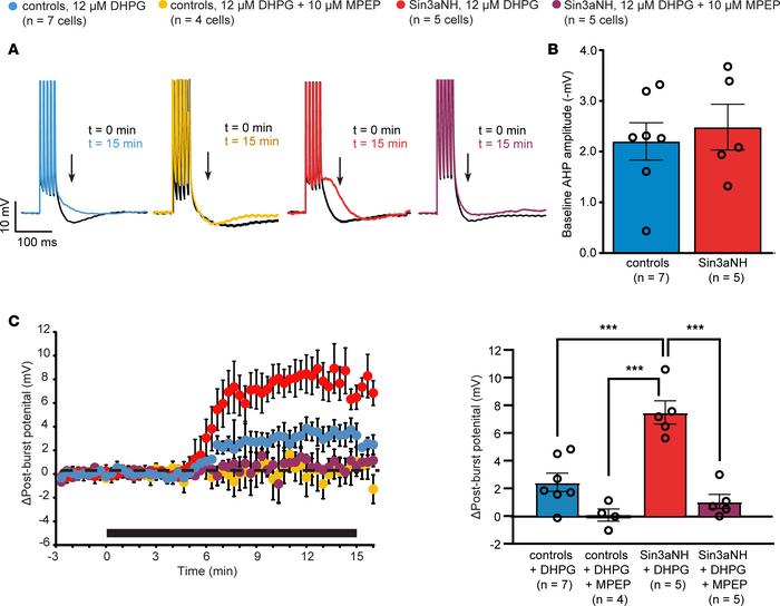 The DHPG-mediated postburst afterdepolarization is enhanced in CA1 pyram...