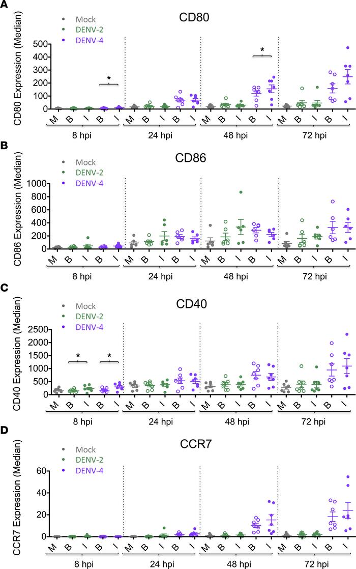 Bystander cells show similar DC surface marker phenotypes compared with ...