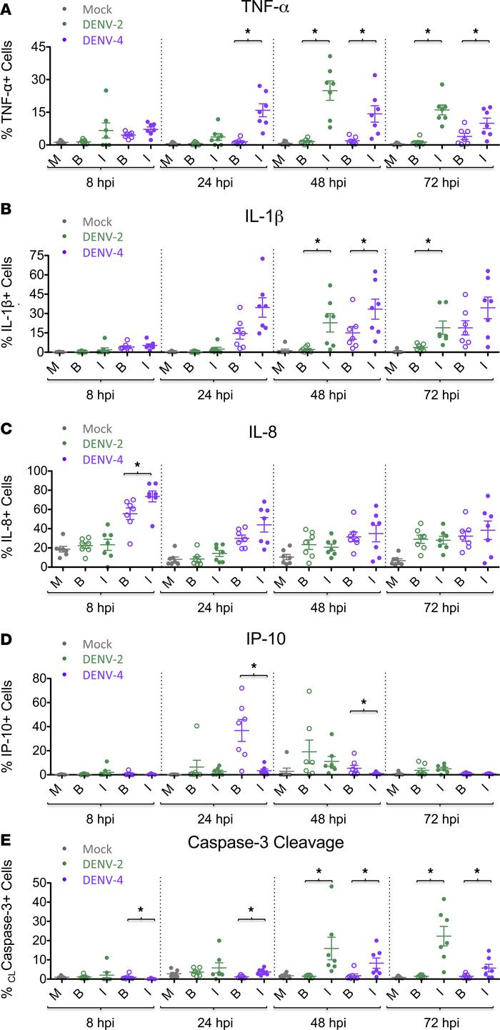 Bystander cells show distinct cytokine and cleaved caspase-3 phenotypes ...