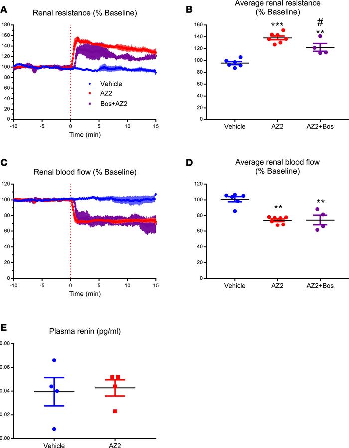 The GPR81 agonist, AZ2, rapidly increases renal vascular resistance, by ...