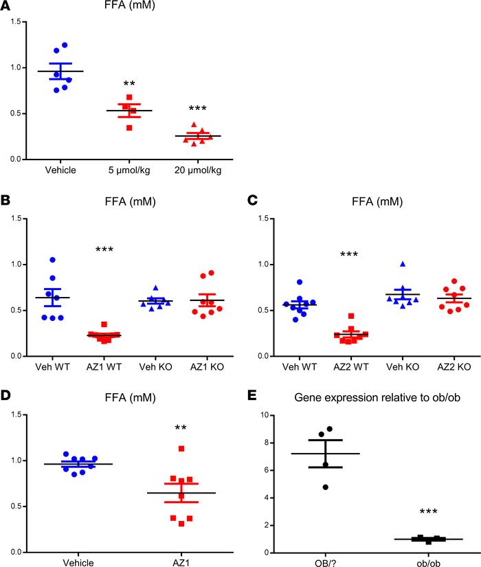 GPR81 agonists suppress fasting plasma free fatty acids (FFAs) in vivo.
...