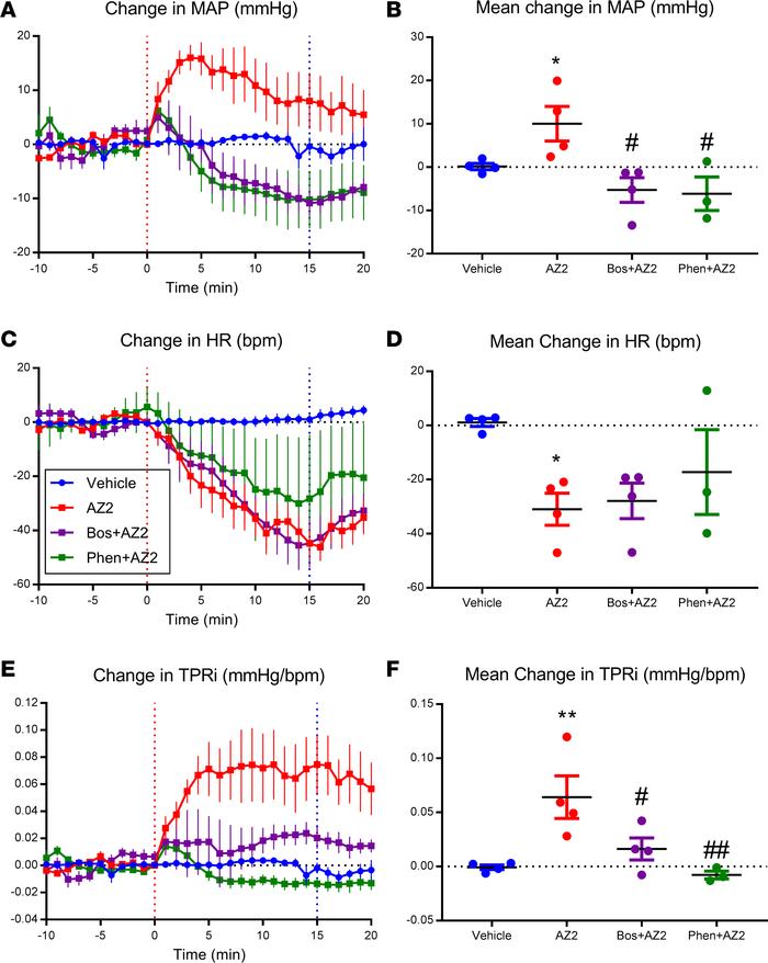 The pressor effect of the GPR81 agonist, AZ2, is substantially prevented...