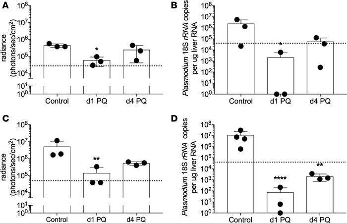In vivo P. falciparum liver stage burden in FRG huHep mice following pri...