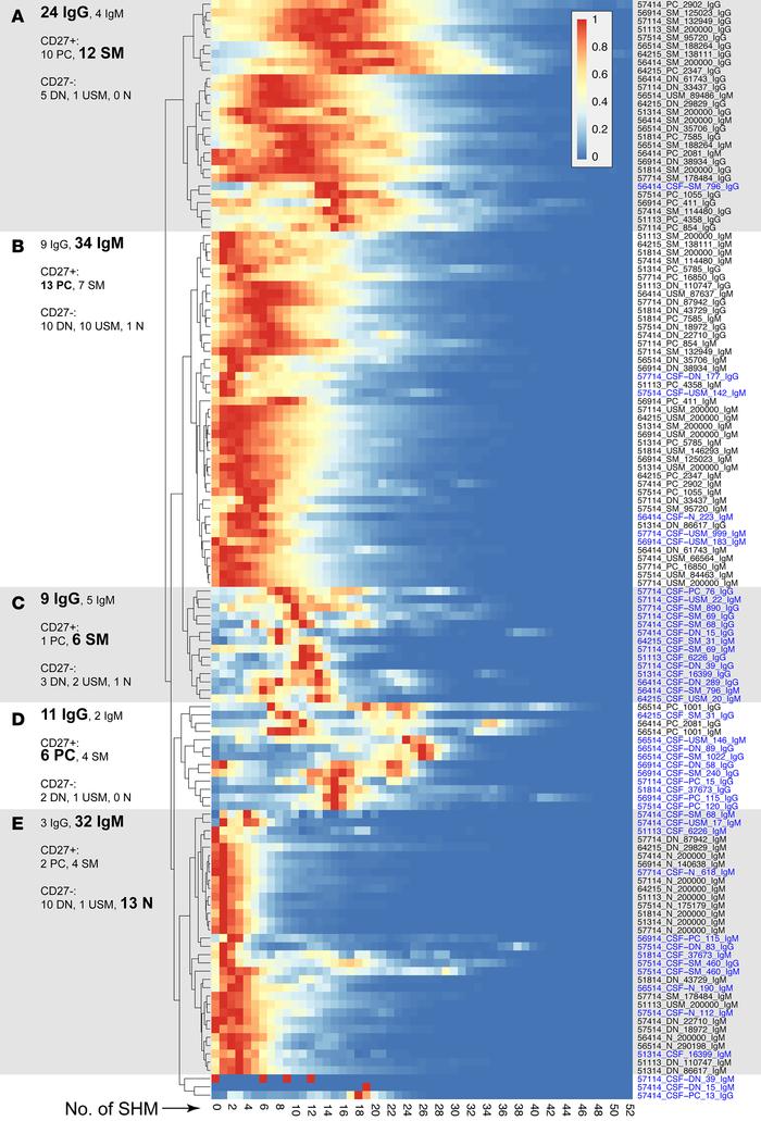 Hierarchical clustering of SHM profiles.
Profiles of SHM along the analy...
