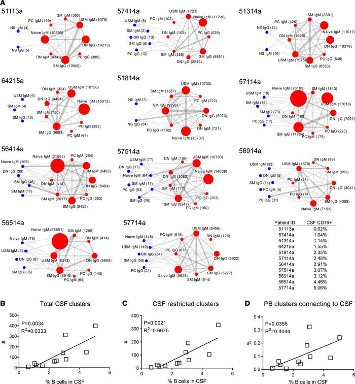 Increased CSF B cells correlate with CSF B cell diversity and B cell inf...