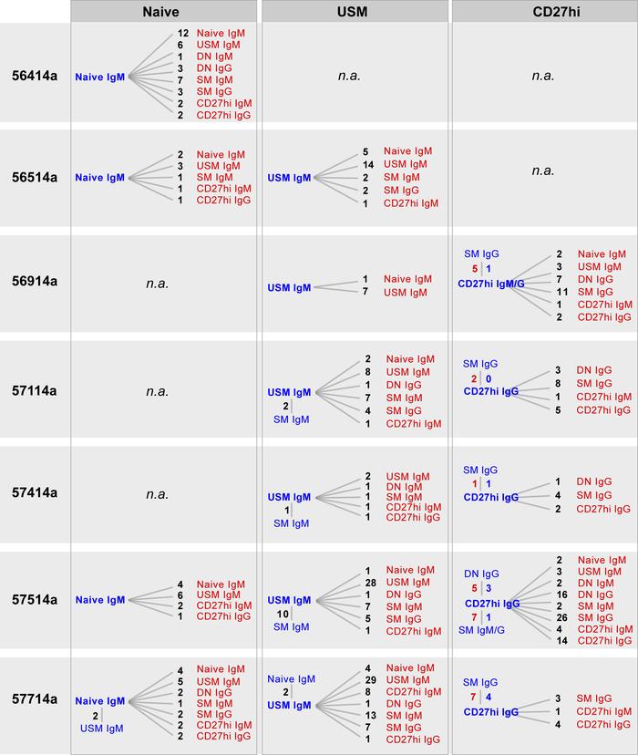 Clonal relationships between CSF naive, USM, and CD27hi B cells and othe...