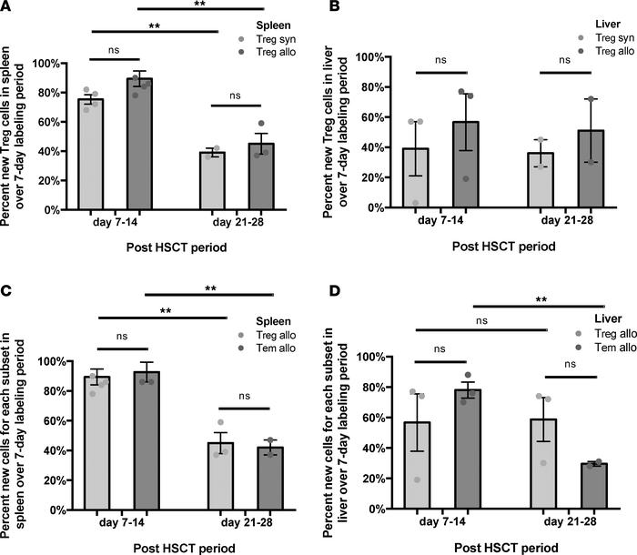 Cell gain kinetics for Tregs in the spleen and liver for allogeneic (all...