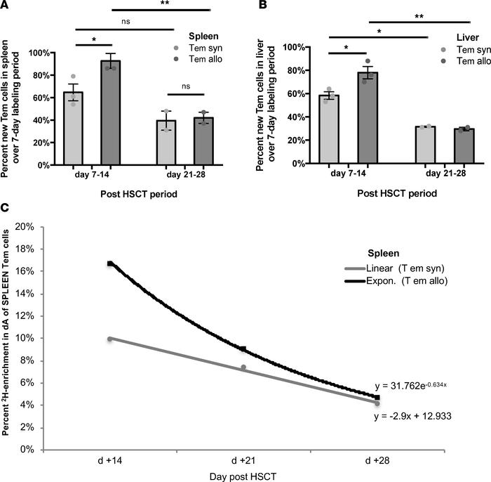 CD4+ Tem in vivo cell kinetics show robust cell gain in the spleen and l...