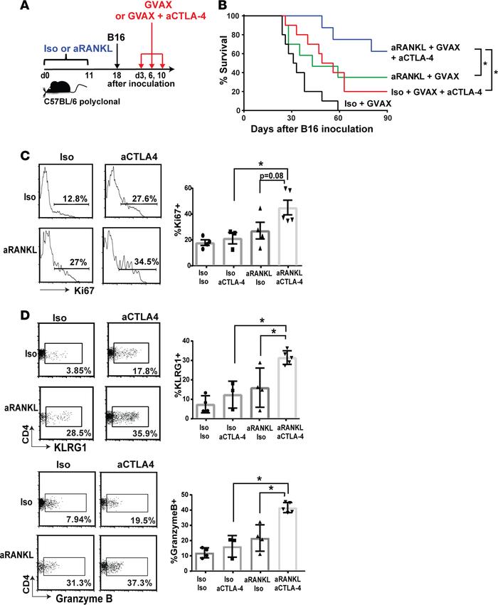 Combination aRANKL and aCTLA-4 antibody administration enhances immune r...