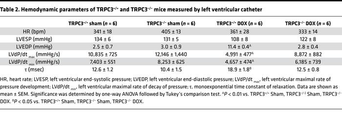 Hemodynamic parameters of TRPC3+/+ and TRPC3–/– mice measured by left ve...