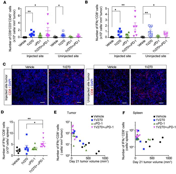 Combination therapy with i.t. 1V270 and systemic anti–PD-1 antibody incr...