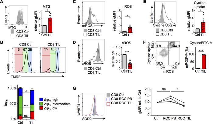 ccRCC CD8 TIL mitochondrial hyperpolarization and ROS accumulation corre...