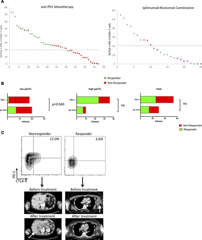 Treatment response to anti–programmed death 1 (PD-1) monotherapy or ipil...