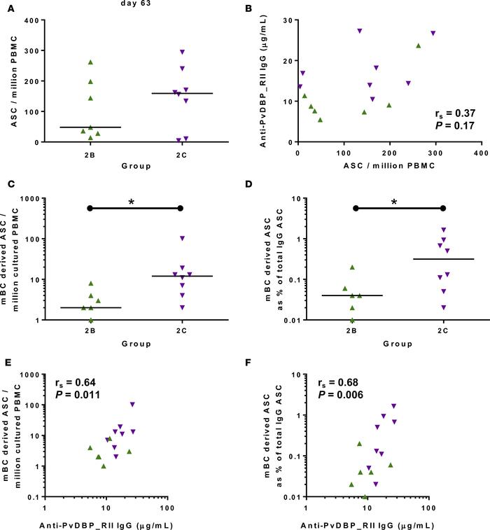 B cell response to vaccination.
(A) PvDBP_RII–specific antibody-secretin...