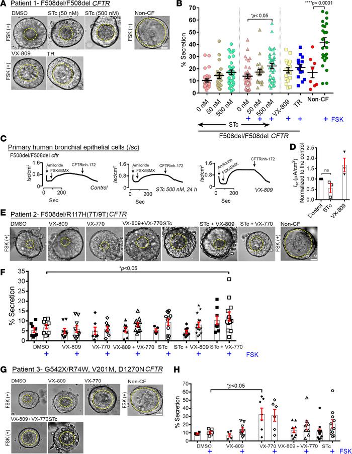 GCC agonism improves fluid secretion in CF patient–derived enterospheres...