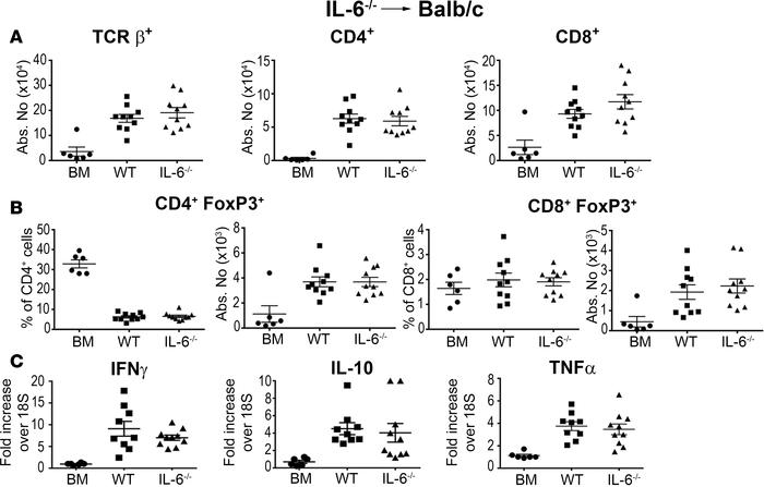 Donor IL-6 production is not required for neuroinflammation during graft...