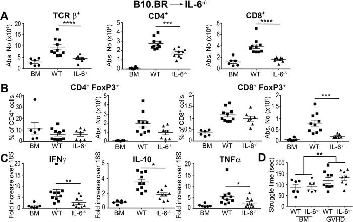 Host IL-6 production regulates inflammation in the brain during graft-ve...