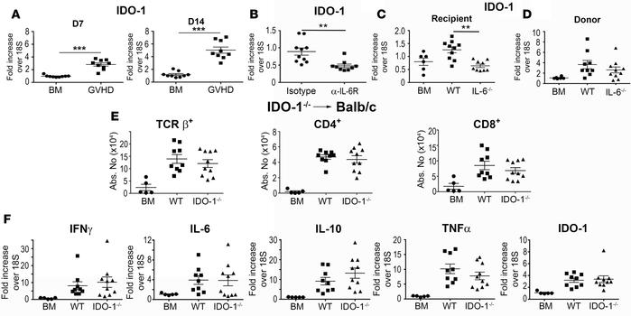 Donor IDO-1 production does not impact inflammation in the brain during ...