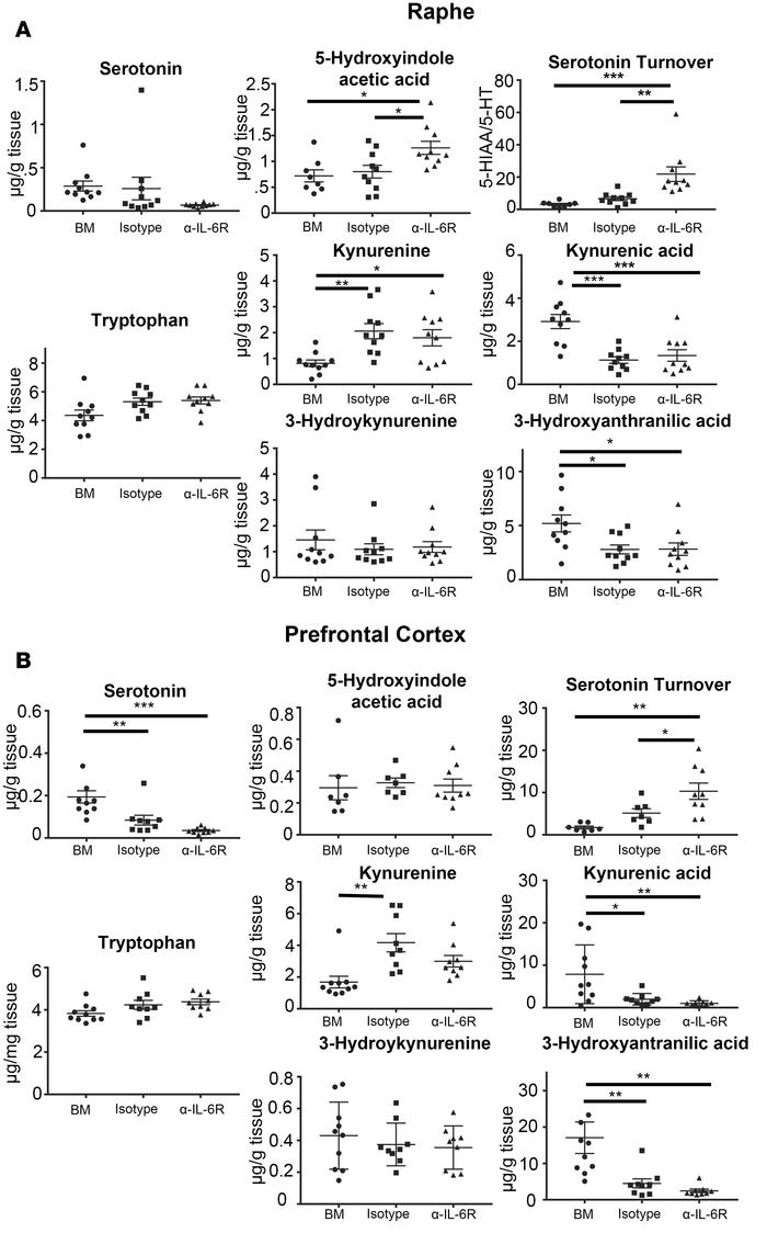 Kynurenines are increased in the brain during graft-versus-host disease....