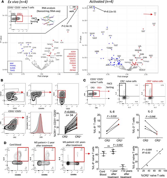 CR2+ naive CD4+ T cells have a unique molecular signature.
(A) Volcano p...